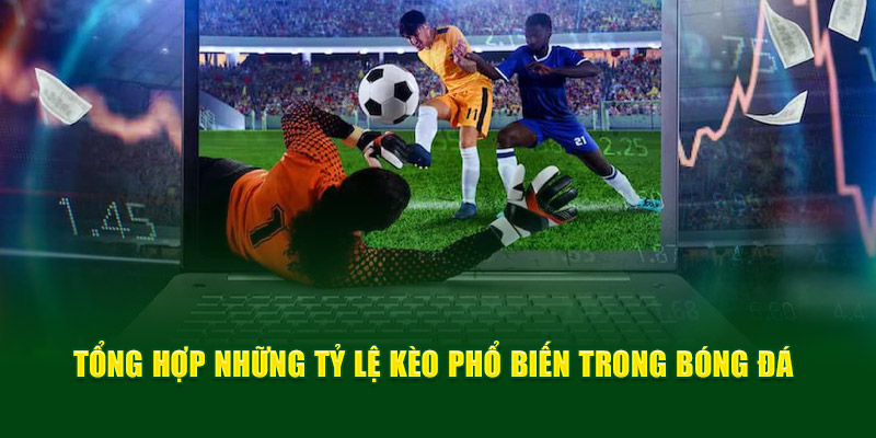 Tổng hợp những tỷ lệ kèo thông dụng trong bóng đá 